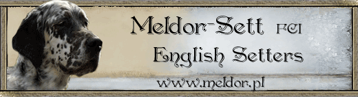 www.meldor.pl